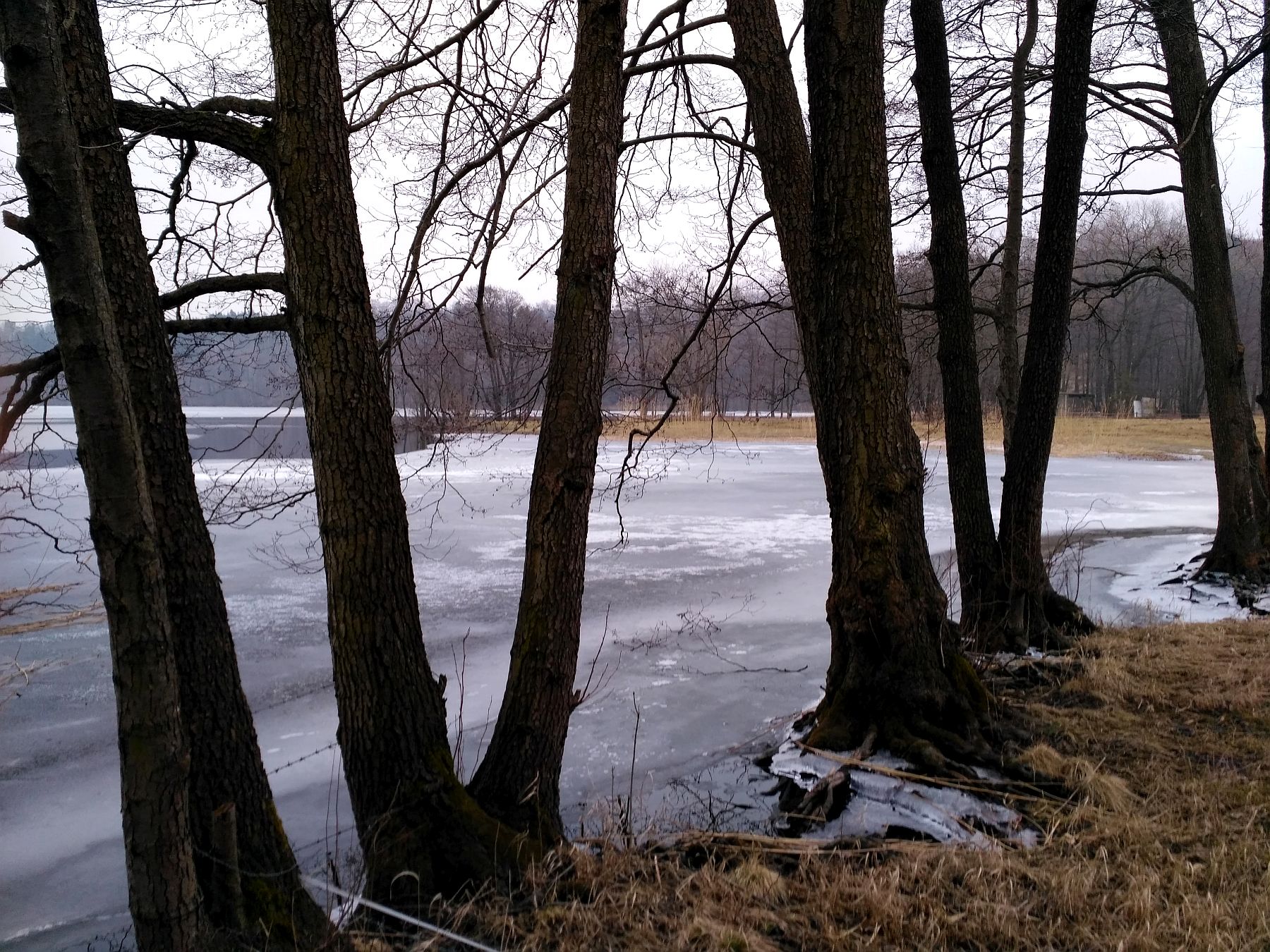 Jezioro Sianowskie marzec 2018
