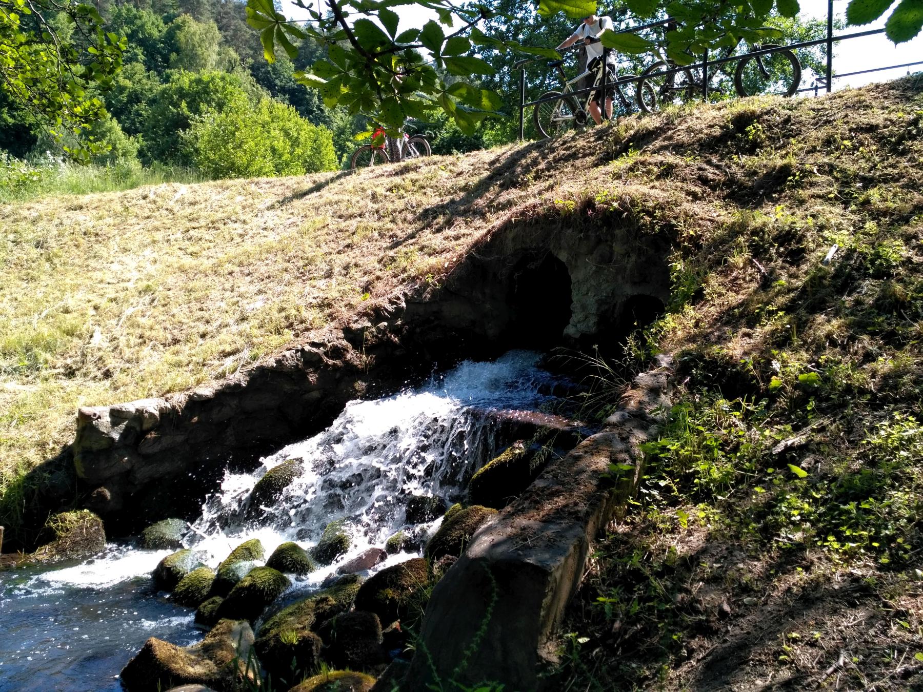 Potok Oliwski w Dolinie Radości